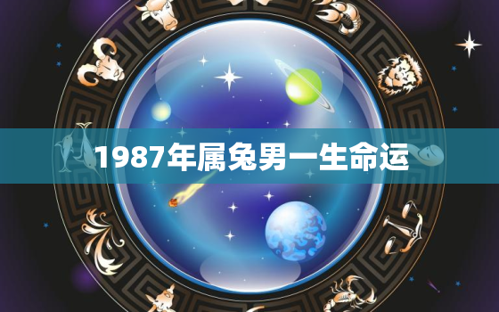 1987年属兔男一生命运，87年属兔人最穷不过36岁