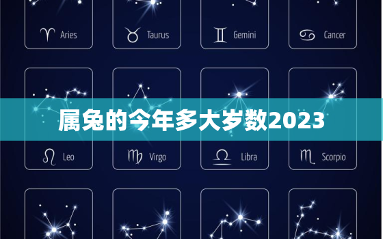 属兔的今年多大岁数2023，属兔的今年多大岁数2019