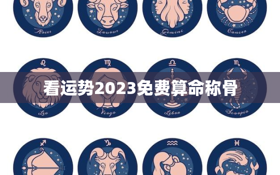 看运势2023免费算命称骨，称骨算命2023年几两