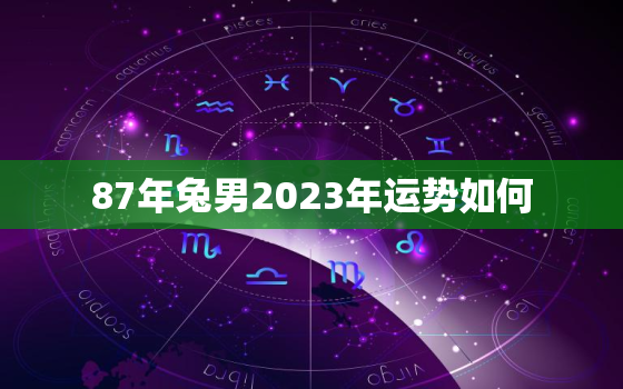 87年兔男2023年运势如何，87年属兔男2023年全年运势