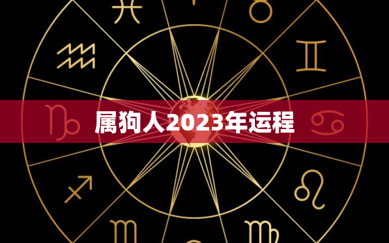 属狗人2023年运程，肖狗人2023年总体运程