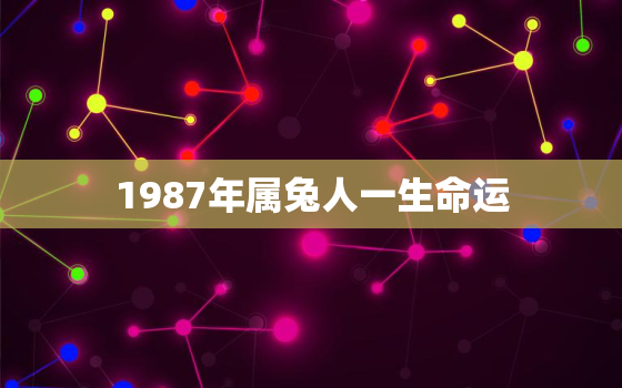 1987年属兔人一生命运，87年属兔36岁必有一死