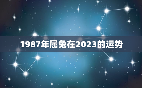 1987年属兔在2023的运势，1987年属兔人2023年全年运势