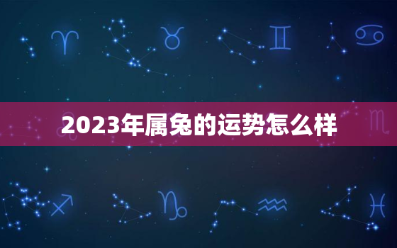 2023年属兔的运势怎么样，2023年属兔的运势怎么样女