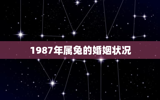 1987年属兔的婚姻状况，属兔的有几段婚姻