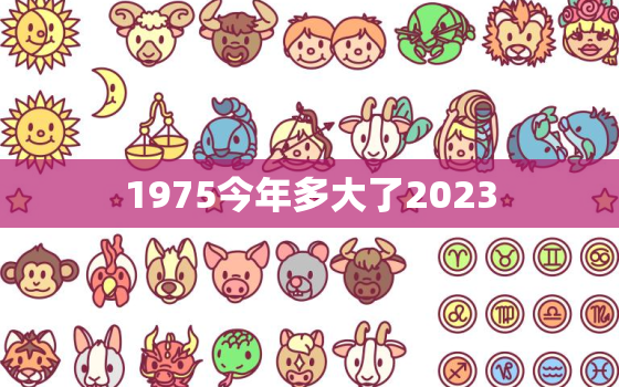 1975今年多大了2023，1975今年多少岁