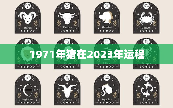 1971年猪在2023年运程，1971年属猪2023年运势