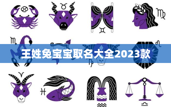 王姓兔宝宝取名大全2023款，属兔王姓女孩取名