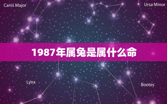 1987年属兔是属什么命，1987年属兔是什么命人