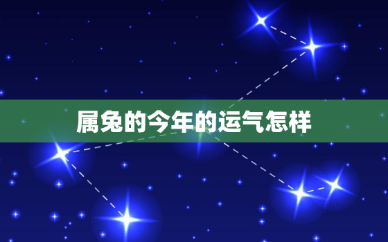 属兔的今年的运气怎样，属兔的人今年运气怎么样?