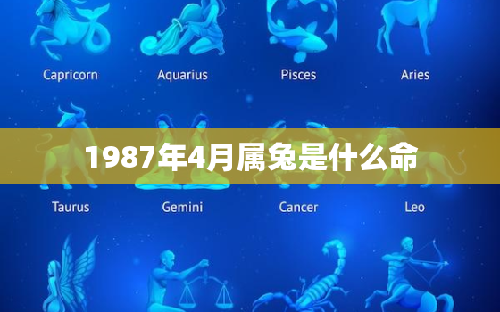 1987年4月属兔是什么命，1987年农历10月属兔是什么命