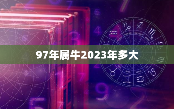 97年属牛2023年多大，1997年属牛2023年多大