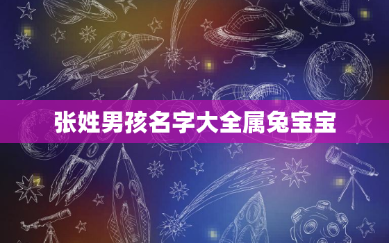 张姓男孩名字大全属兔宝宝，姓张的
宝名字大全 免费2020