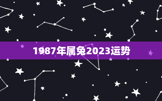 1987年属兔2023运势，1987年属兔人2023