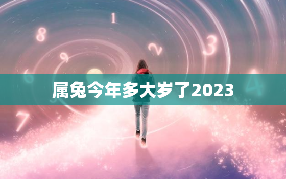 属兔今年多大岁了2023，2021年属兔今年多大年龄了?