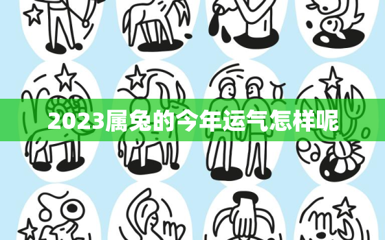 2023属兔的今年运气怎样呢，2023属兔的全年运势