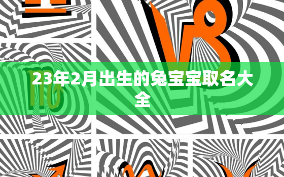 23年2月出生的兔宝宝取名大全，23年2月出生的兔宝宝取名大全男孩