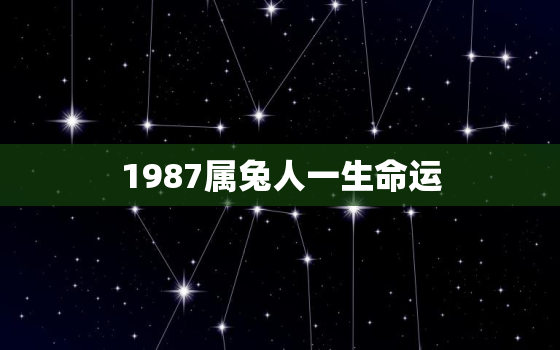 1987属兔人一生命运，1987属兔一生的命运好不好