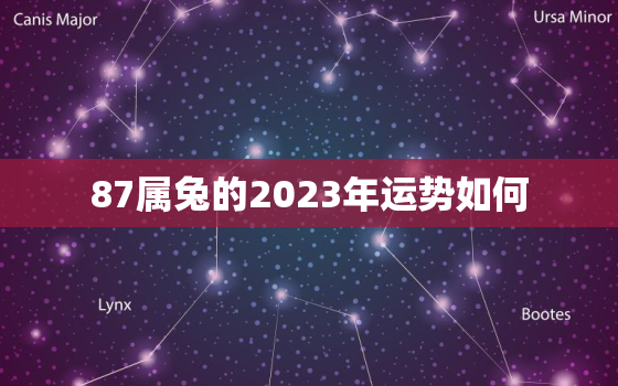 87属兔的2023年运势如何，87年属兔人2023年运势运程每月运程