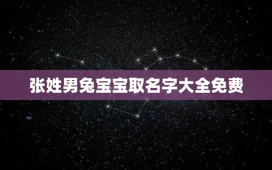 张姓男兔宝宝取名字大全免费，2020姓张的
宝名字大全免费