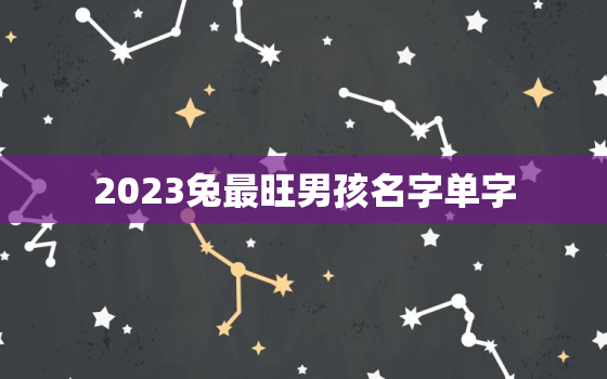 2023兔最旺男孩名字单字，2023属兔取名字女孩大全