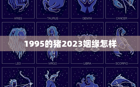 1995的猪2023姻缘怎样，1995属猪的2023年运势怎么样