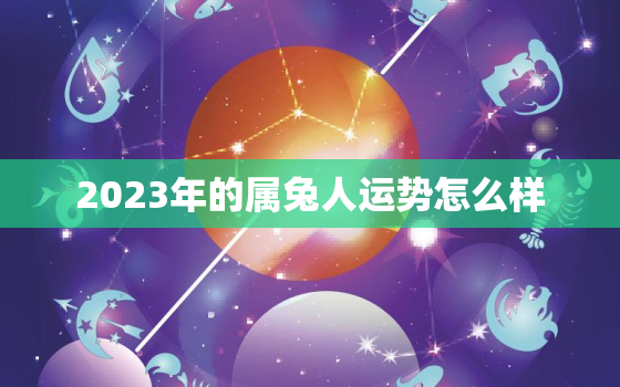 2023年的属兔人运势怎么样，2023年属兔的运程