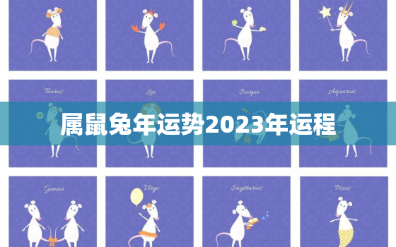 属鼠兔年运势2023年运程，鼠在兔年运势2023运势详解