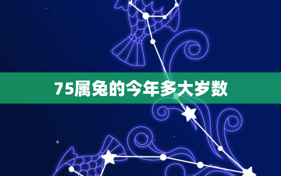 75属兔的今年多大岁数，75属兔2021年多少岁