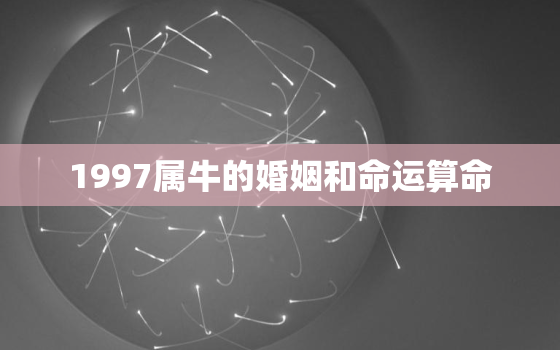 1997属牛的婚姻和命运算命，1997年属牛的最佳婚姻