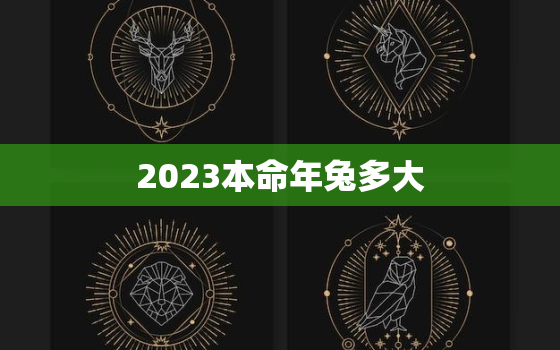 2023本命年兔多大，2023年属兔本命年穿什么颜色的