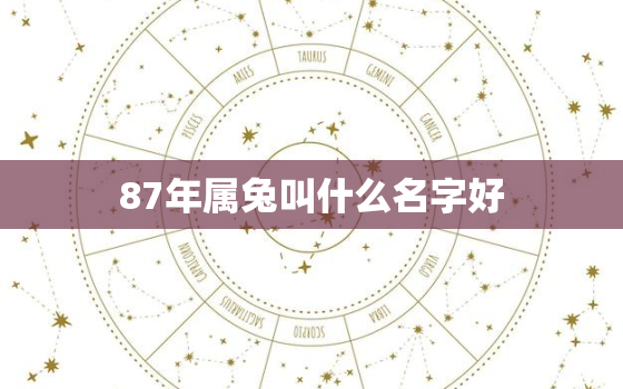 87年属兔叫什么名字好，87年兔取什么名字可以转运