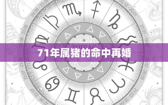 71年属猪的命中再婚，71年属猪51到52岁好运气