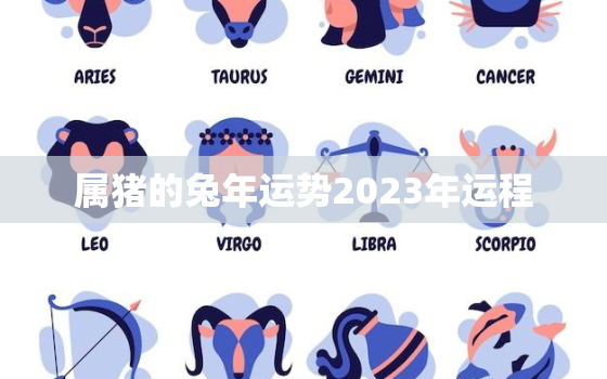 属猪的兔年运势2023年运程，2022年属猪下半年要出大事