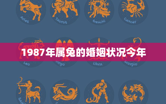 1987年属兔的婚姻状况今年，1987年属兔的婚姻状况今年怎么样