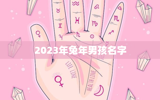 2023年兔年男孩名字，2023年兔年男孩名字寓意好的名字