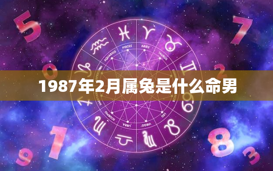 1987年2月属兔是什么命男，1987年2月出生属兔是什么命