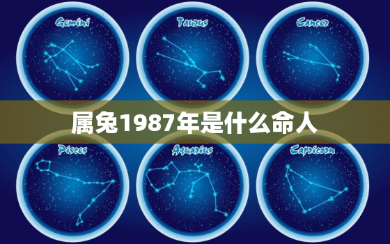 属兔1987年是什么命人，属兔1987年出生是什么命