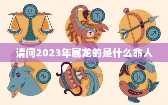 请问2023年属龙的是什么命人，请问2023年属龙的是什么命人呢