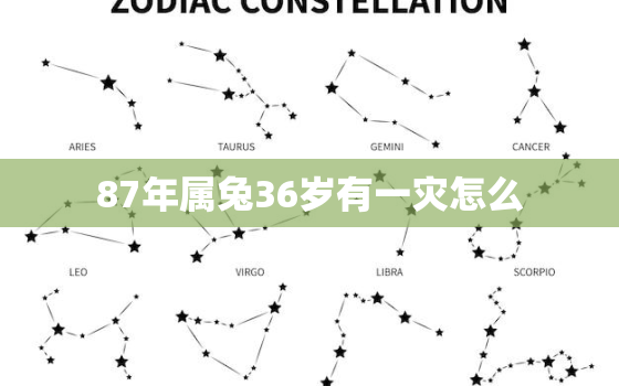 87年属兔36岁有一灾怎么，87年属兔36岁以后的一生命运