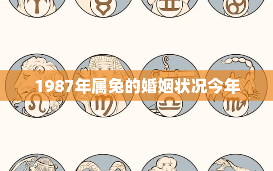 1987年属兔的婚姻状况今年，87年属兔婚姻及命运2021