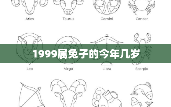 1999属兔子的今年几岁，1999属兔今年多大岁数2021