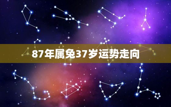 87年属兔37岁运势走向，87年属兔37岁运势走向如何