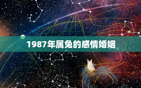 1987年属兔的感情婚姻，1987年属兔的感情婚姻状况如何