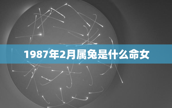 1987年2月属兔是什么命女，1987年2月份是什么命