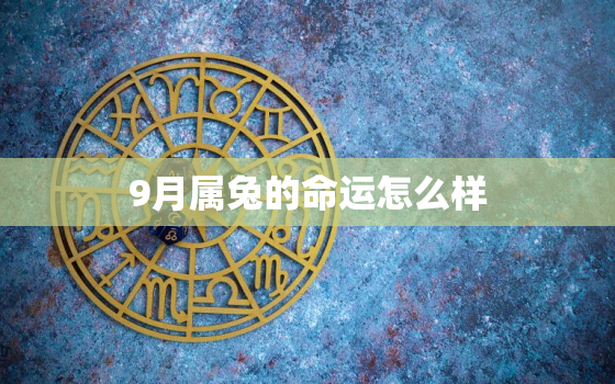 9月属兔的命运怎么样，9月份属兔的人怎么样