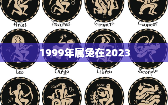 1999年属兔在2023，1999年属兔在2023年学业如何