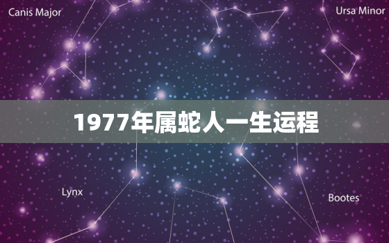 1977年属蛇人一生运程，1977年属蛇人一生命运