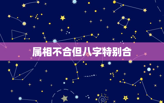 属相不合但八字特别合，六冲最严重的一组