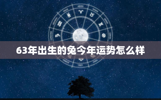 63年出生的兔今年运势怎么样，63年的兔今年运势如何